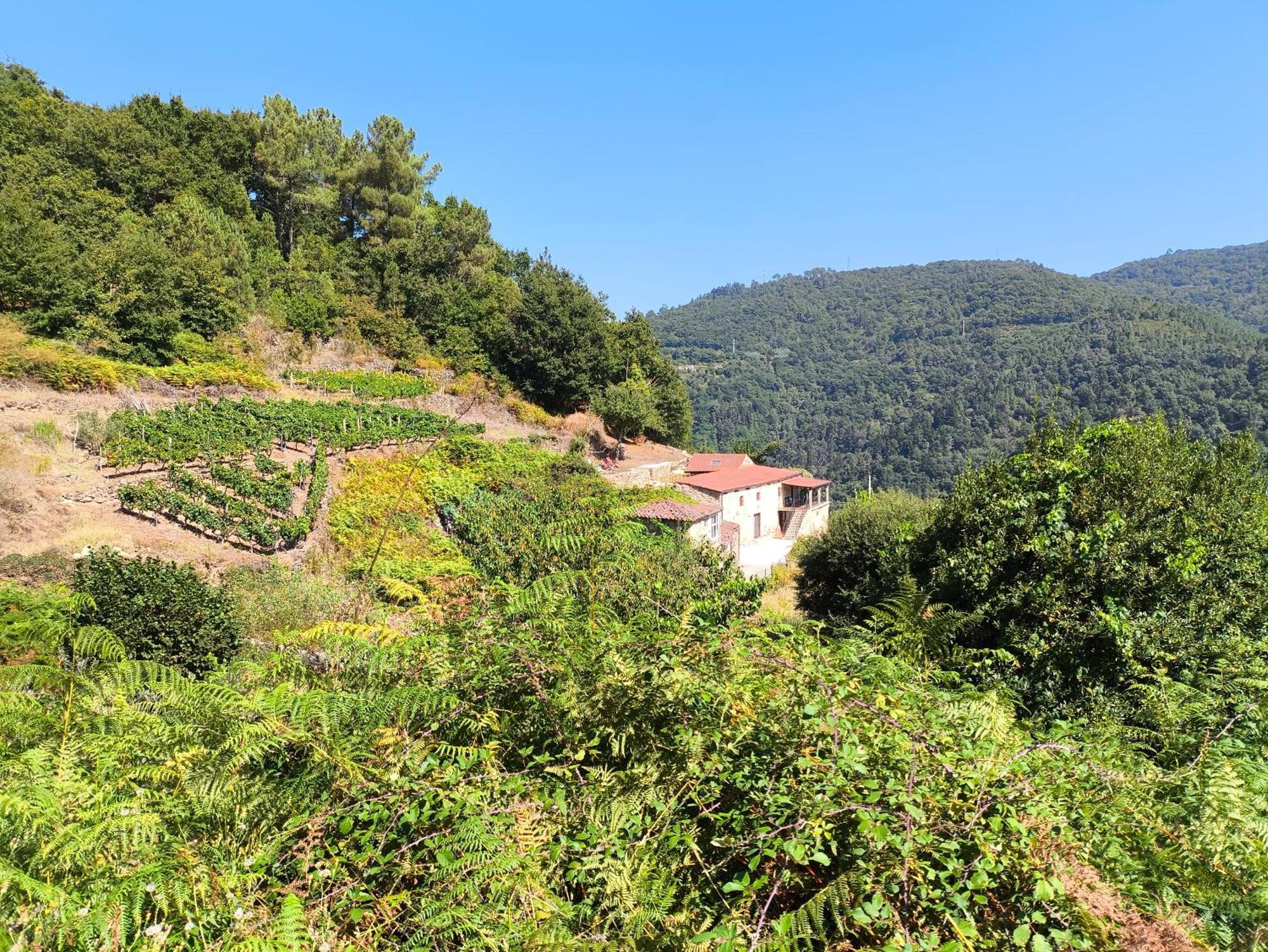 Xiravai-Ribeira Sacra Villa Peares Exterior foto