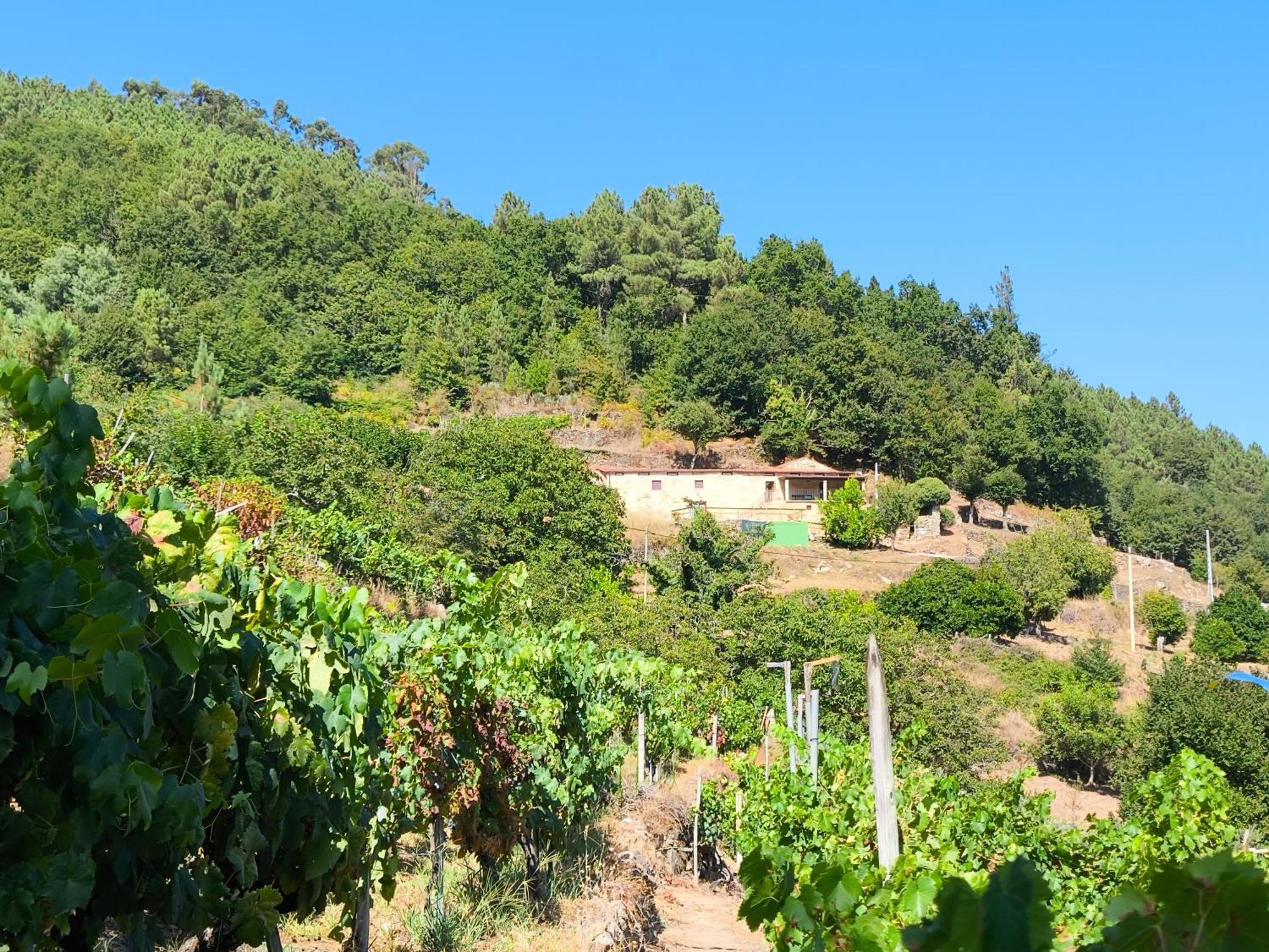 Xiravai-Ribeira Sacra Villa Peares Exterior foto